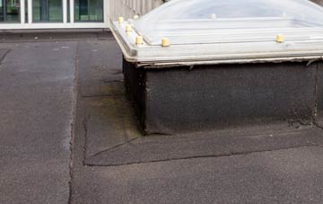 disadvantages of Tyddyn flat roofs