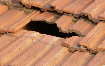 roof repair Tyddyn, Powys